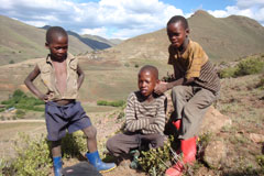 Drenge i Lesotho